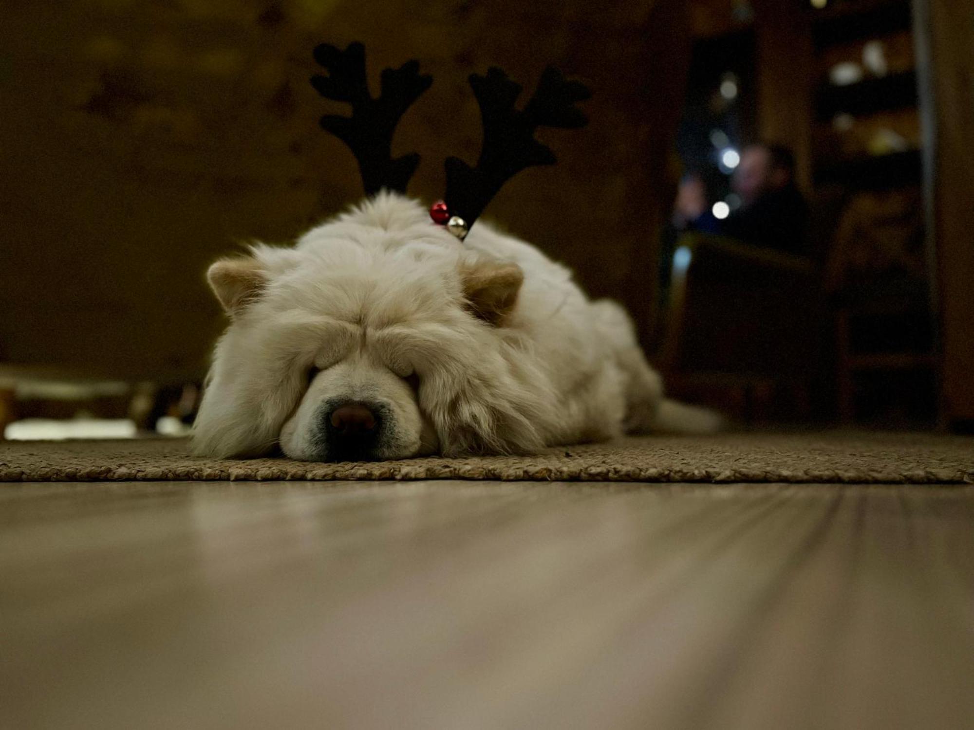Marina Zakopane Bed & Breakfast ภายนอก รูปภาพ